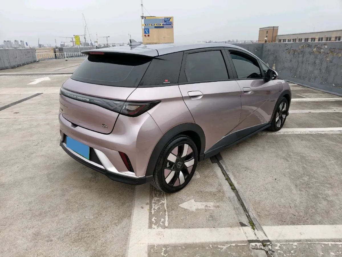 2023 BYD Dolphin BEV 44.928KWH,autocango,china used car exporter,china ev exporter,chinese used car exporter,chinese used ev exporter