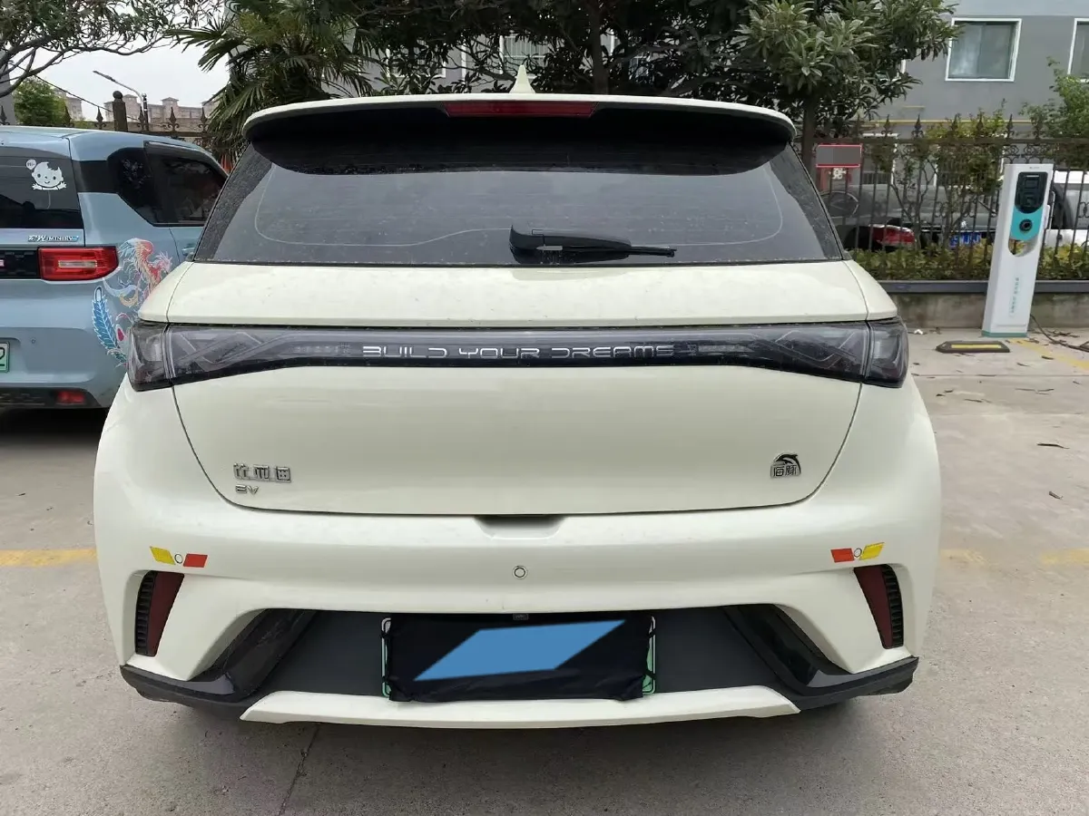2023 BYD Dolphin BEV 44.928KWH,autocango,china used car exporter,china ev exporter,chinese used car exporter,chinese used ev exporter