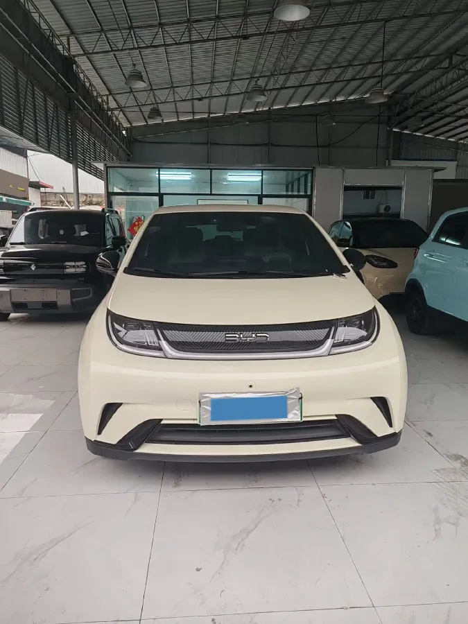 2025 BYD Dolphin BEV 44.928KWH,autocango,china used car exporter,china ev exporter,chinese used car exporter,chinese used ev exporter