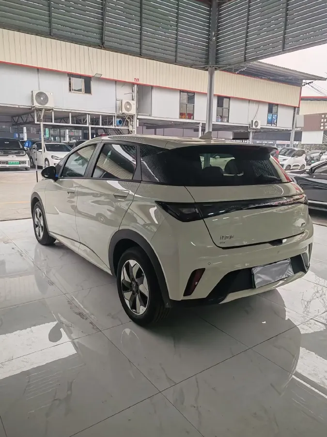 2025 BYD Dolphin BEV 44.928KWH,autocango,china used car exporter,china ev exporter,chinese used car exporter,chinese used ev exporter
