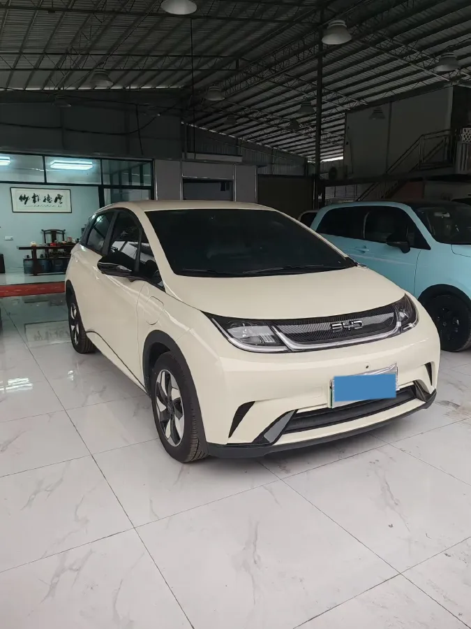 2025 BYD Dolphin BEV 44.928KWH,autocango,china used car exporter,china ev exporter,chinese used car exporter,chinese used ev exporter