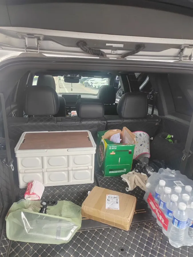 2022 GAC Trumpchi GS8 2.0T 252HP L4 8AT,autocango,china used car exporter,china ev exporter,chinese used car exporter,chinese used ev exporter