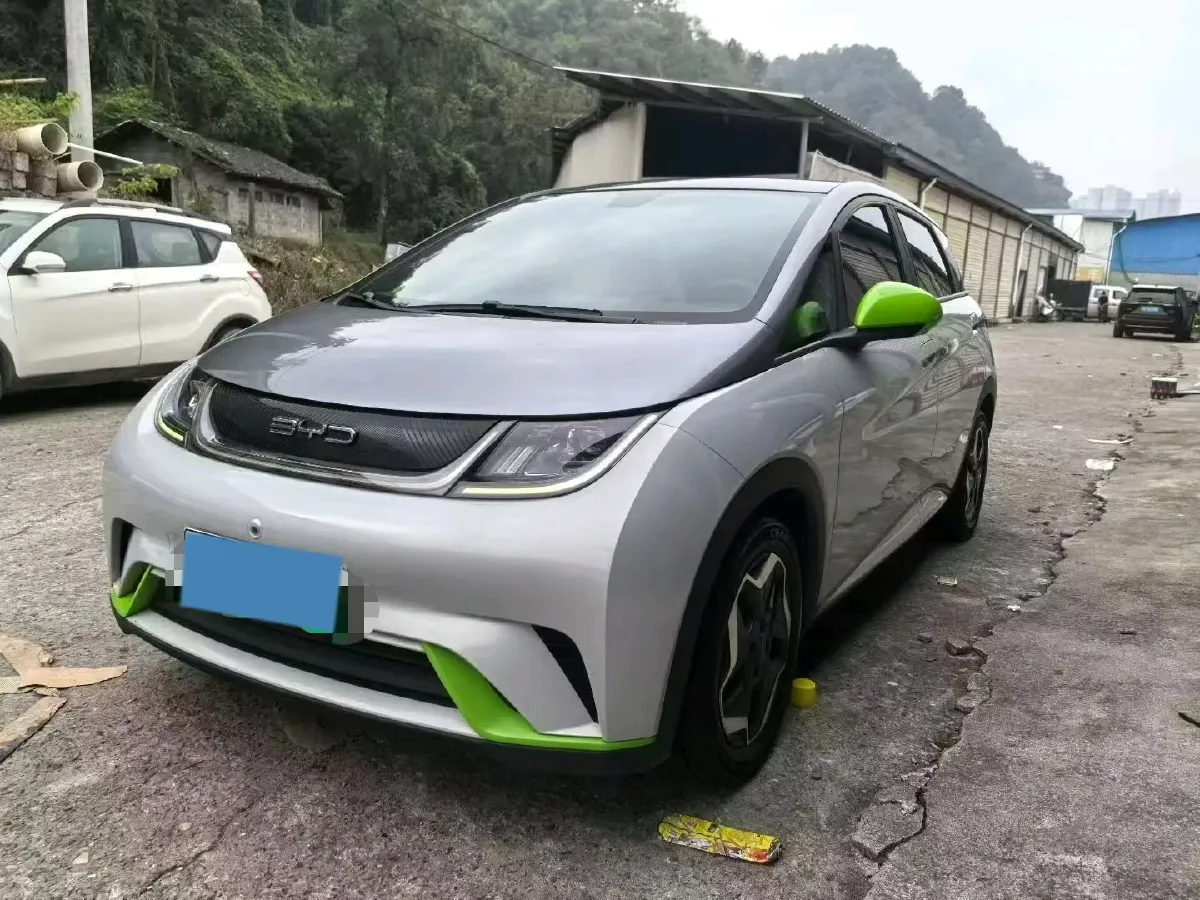 2021 BYD Dolphin BEV 44.9KWH,autocango,china used car exporter,china ev exporter,chinese used car exporter,chinese used ev exporter