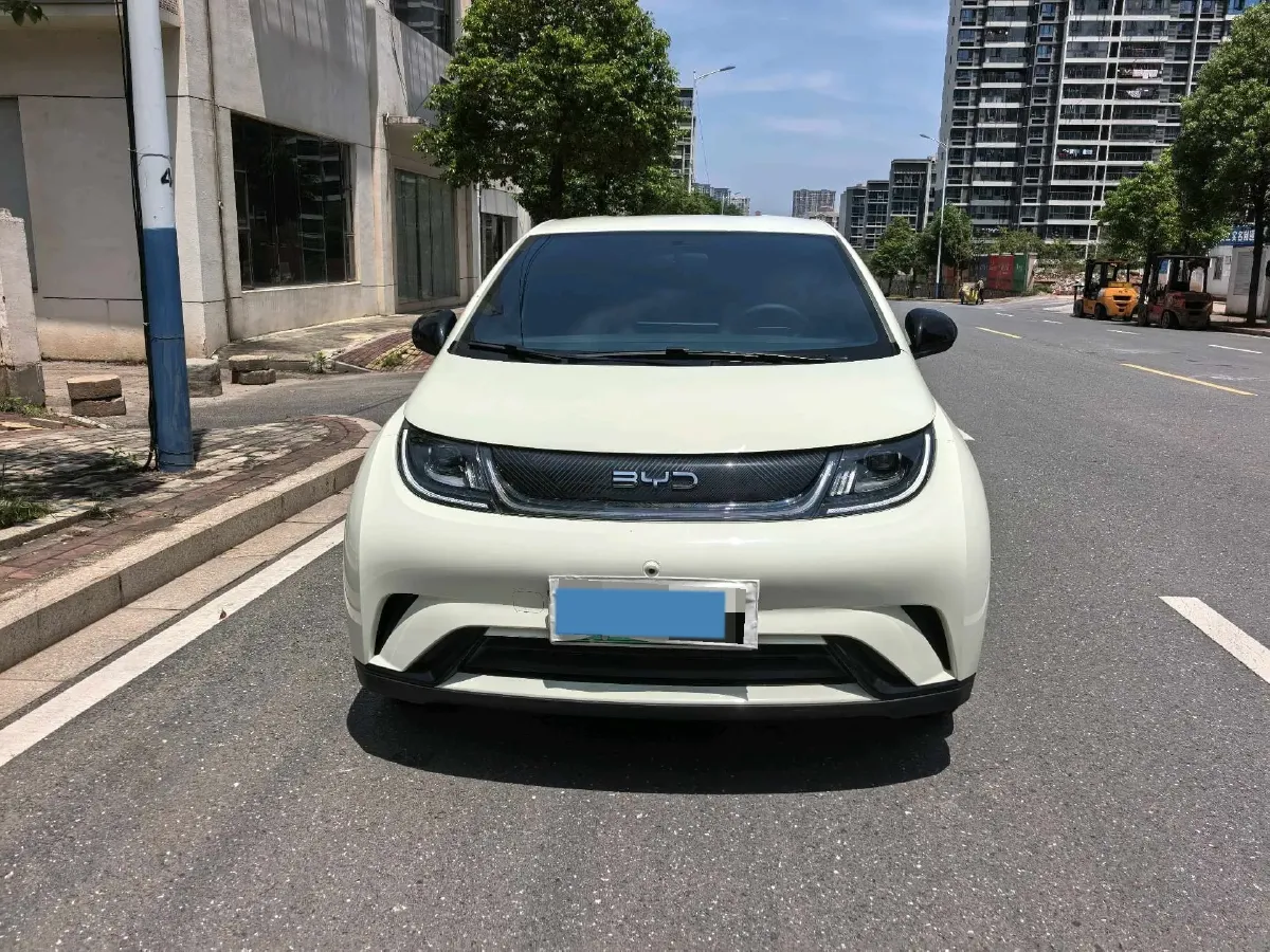 2025 BYD Dolphin BEV 44.928KWH,autocango,china used car exporter,china ev exporter,chinese used car exporter,chinese used ev exporter