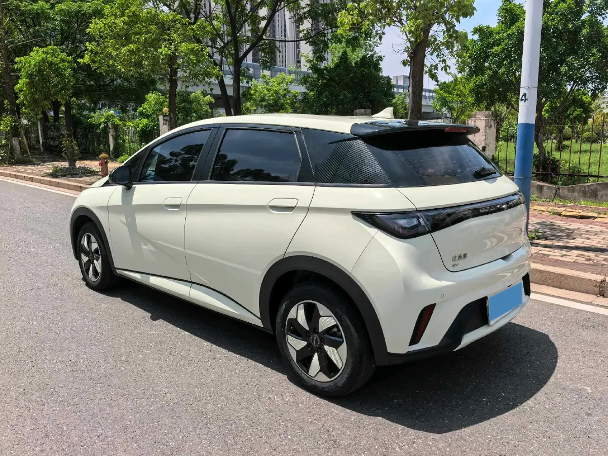 2025 BYD Dolphin BEV 44.928KWH,autocango,china used car exporter,china ev exporter,chinese used car exporter,chinese used ev exporter