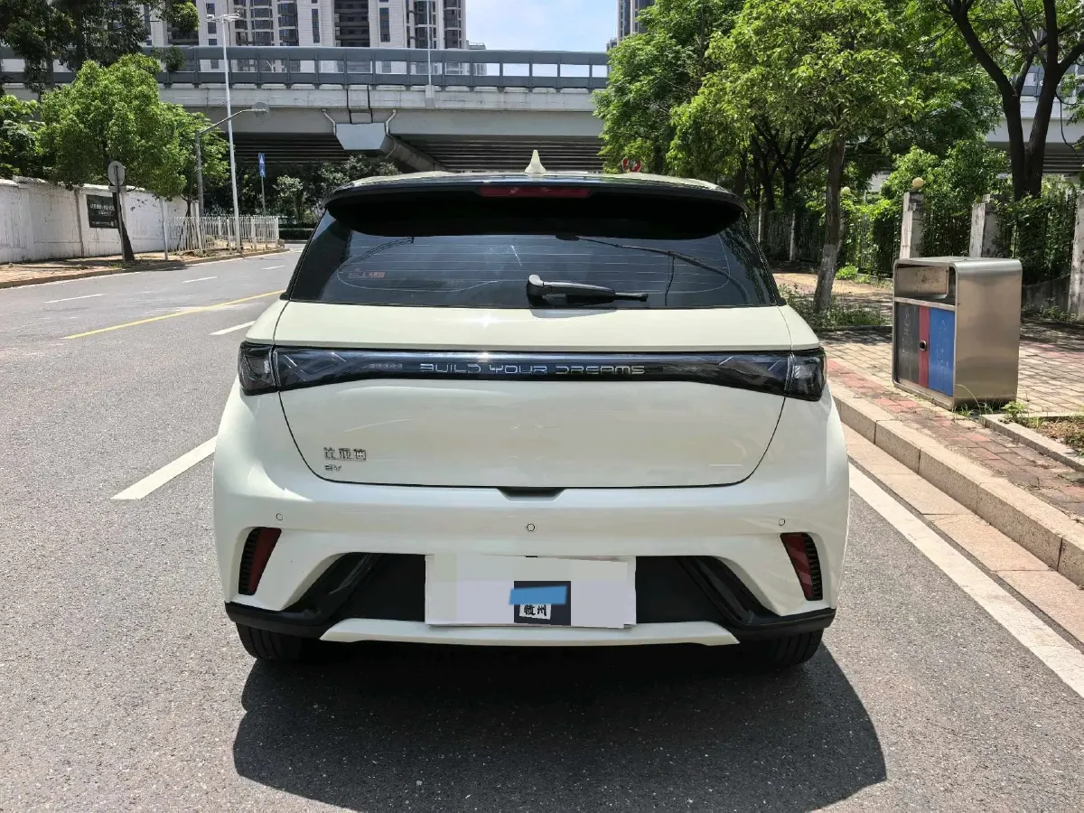 2025 BYD Dolphin BEV 44.928KWH,autocango,china used car exporter,china ev exporter,chinese used car exporter,chinese used ev exporter