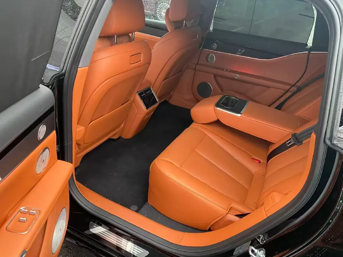 2025 HIMA Stelato S9T REEV 160HP REEV,autocango,china used car exporter,china ev exporter,chinese used car exporter,chinese used ev exporter