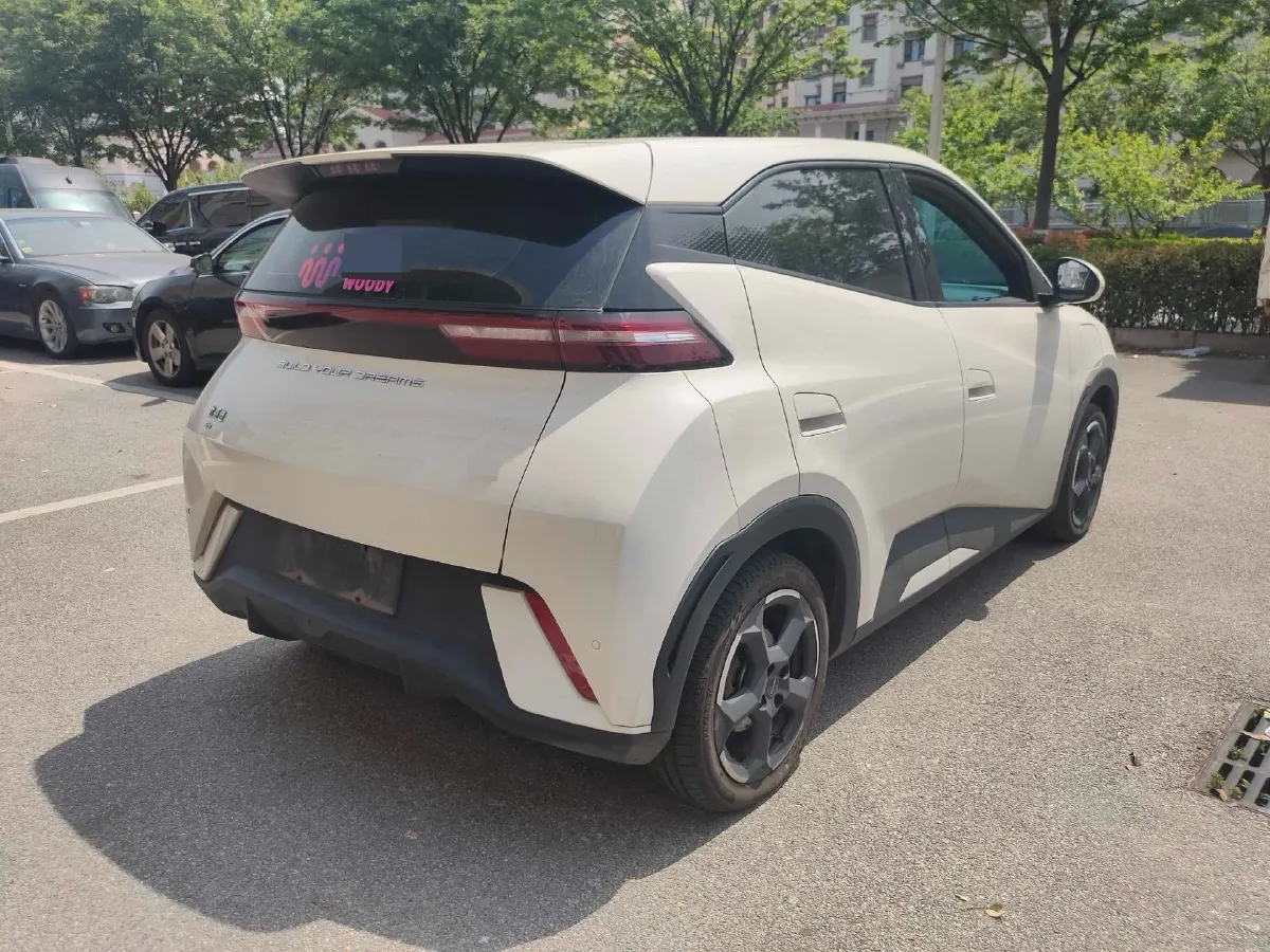 2023 BYD Seagull BEV 38.88KWH,autocango,china used car exporter,china ev exporter,chinese used car exporter,chinese used ev exporter