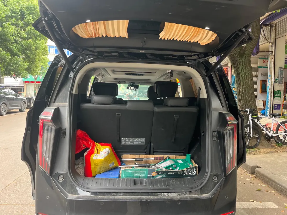 2024 GAC Trumpchi M8 2.0T 252HP L4 8AT,autocango,china used car exporter,china ev exporter,chinese used car exporter,chinese used ev exporter