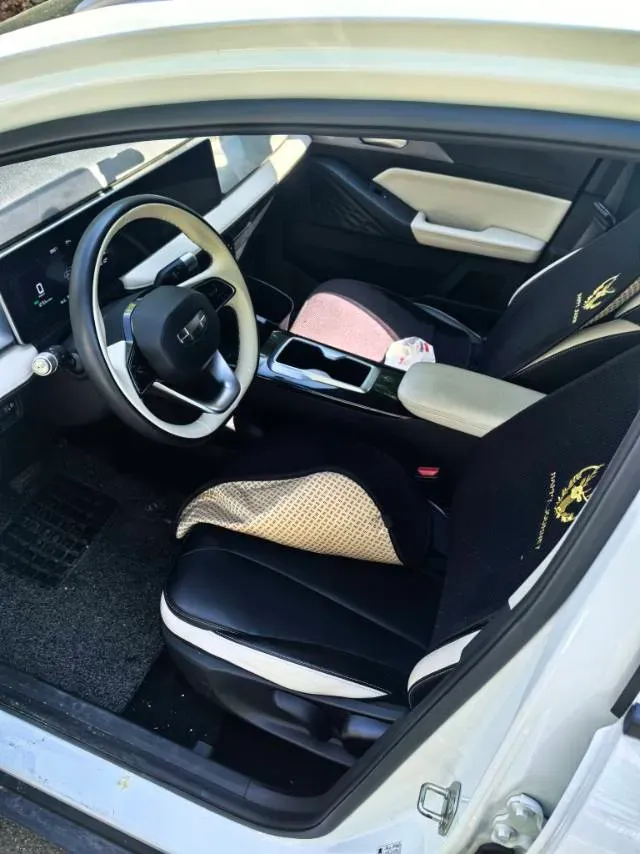 2024 Geometry E BEV 39.3KWH,autocango,china used car exporter,china ev exporter,chinese used car exporter,chinese used ev exporter