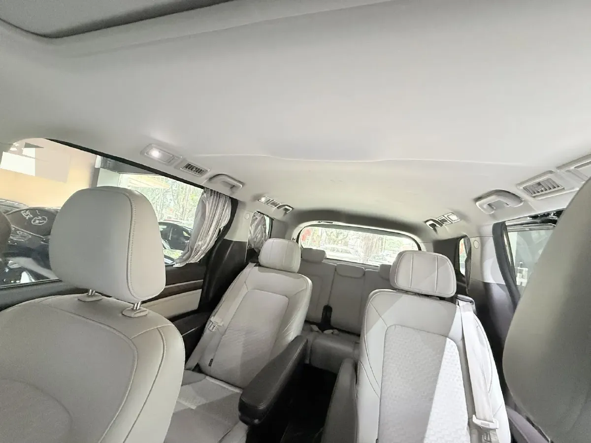 2021 GAC Trumpchi M8 2.0T 252HP L4 8AT,autocango,china used car exporter,china ev exporter,chinese used car exporter,chinese used ev exporter