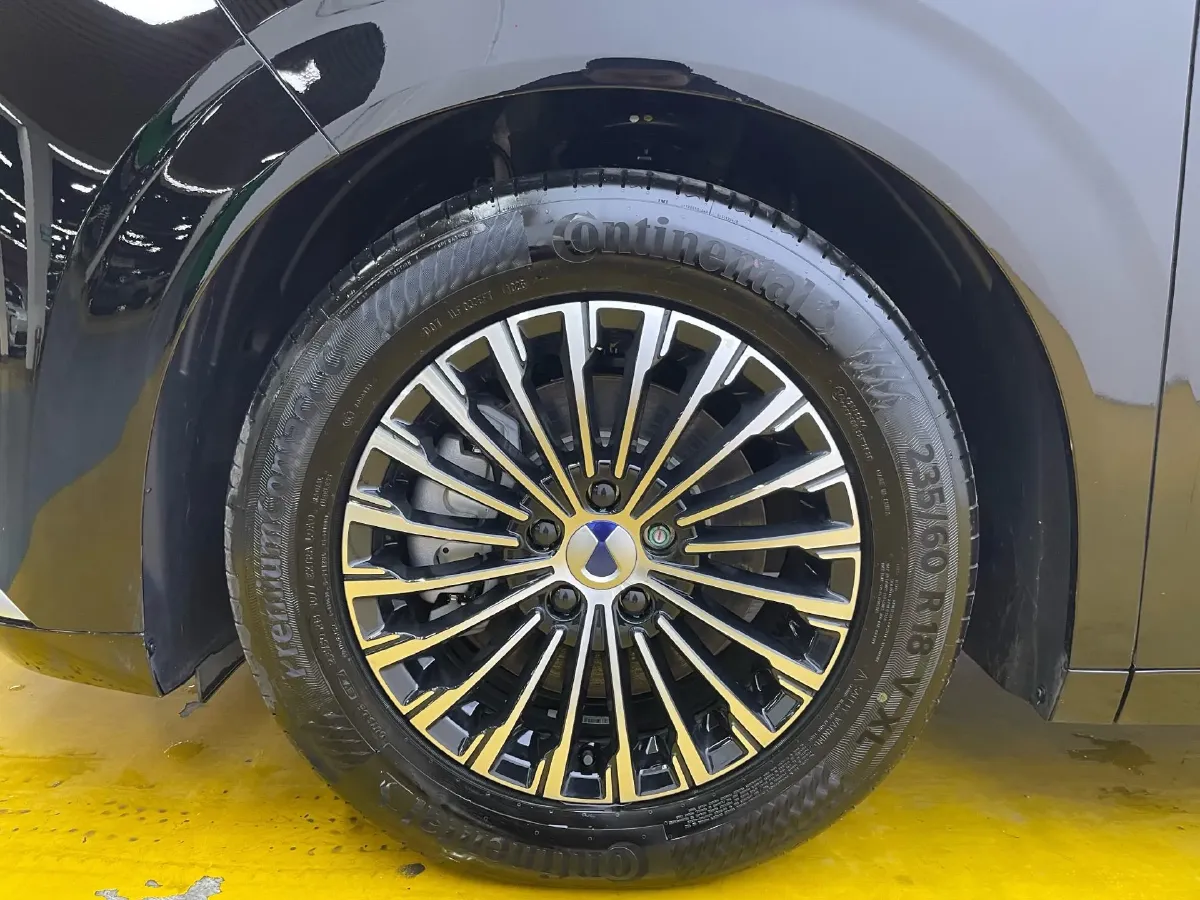 2024 Denza D9 1.5T 139HP L4 E-CVT PHEV 40KWH,autocango,china used car exporter,china ev exporter,chinese used car exporter,chinese used ev exporter