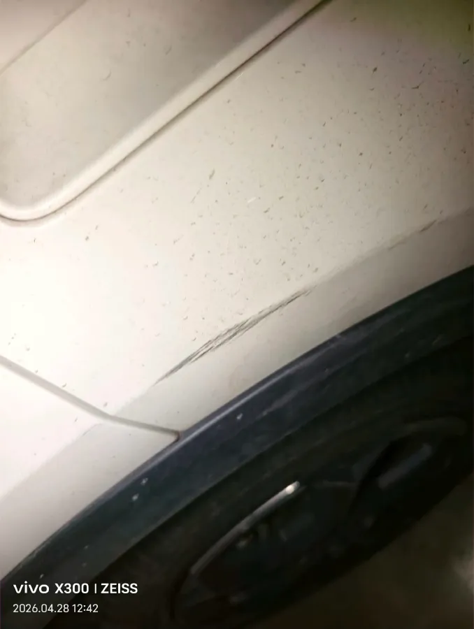 2023 BYD Seagull BEV 30.08KWH,autocango,china used car exporter,china ev exporter,chinese used car exporter,chinese used ev exporter