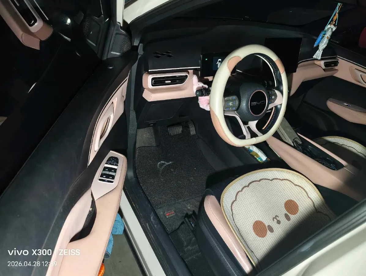 2023 BYD Seagull BEV 30.08KWH,autocango,china used car exporter,china ev exporter,chinese used car exporter,chinese used ev exporter