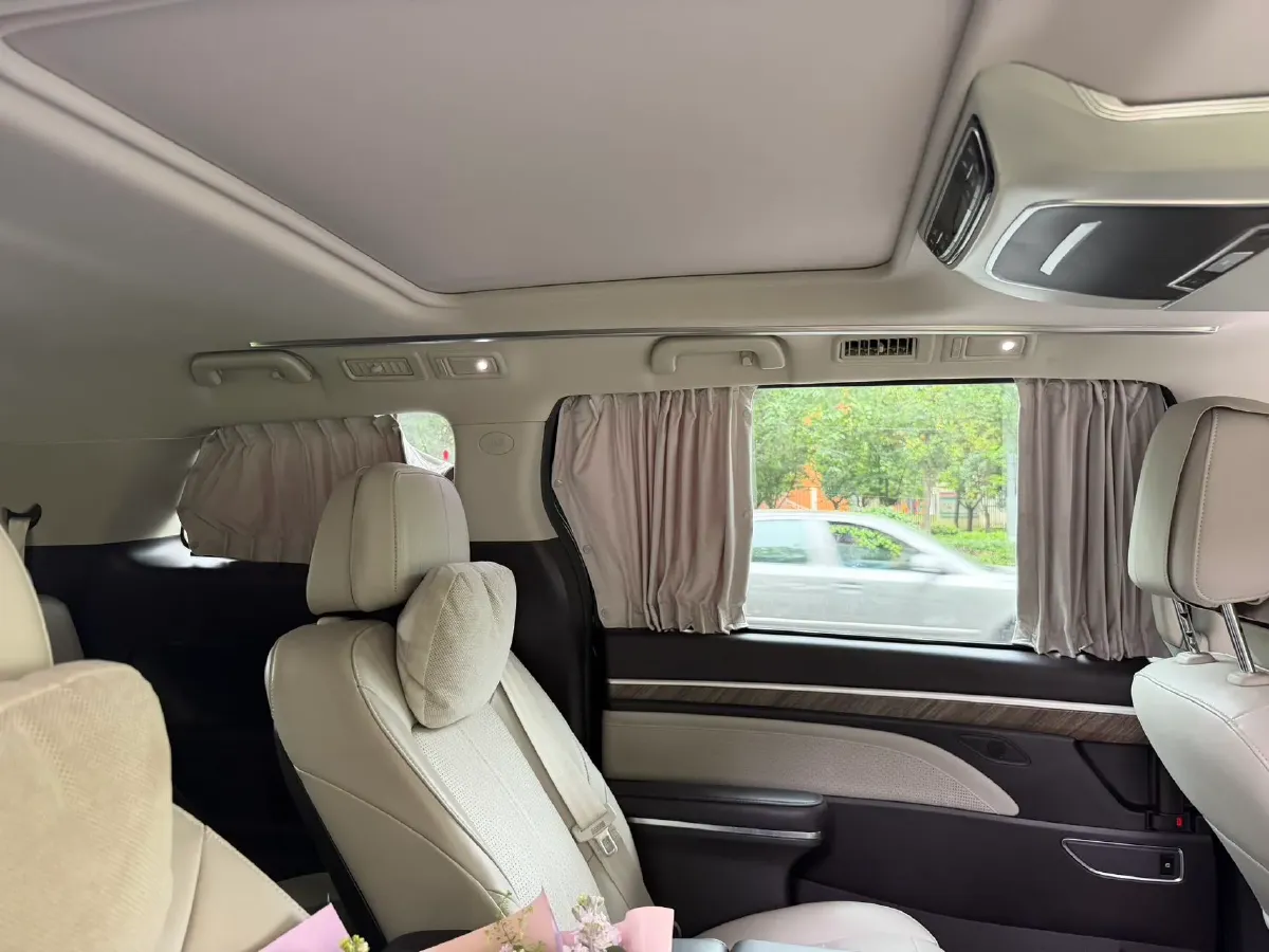 2021 GAC Trumpchi M8 2.0T 252HP L4 8AT,autocango,china used car exporter,china ev exporter,chinese used car exporter,chinese used ev exporter