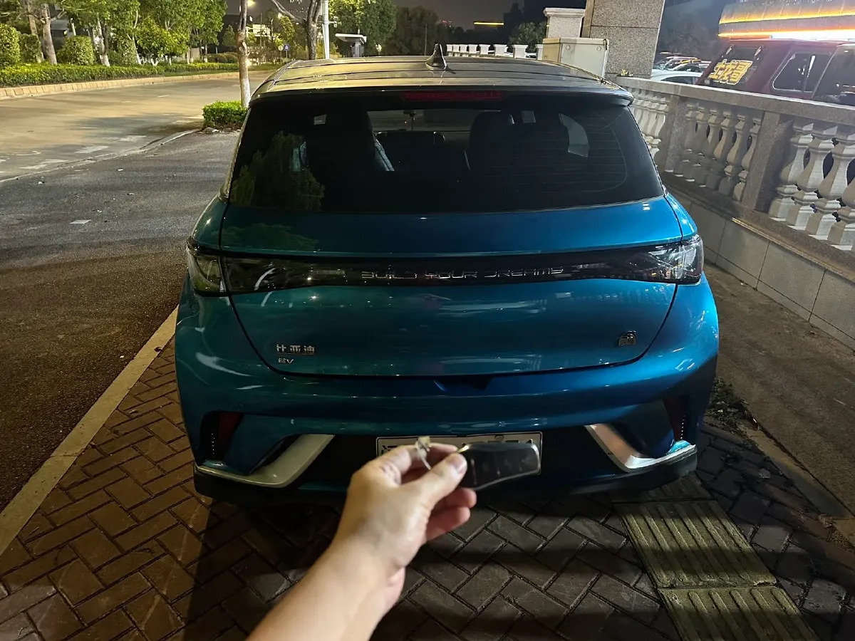 2023 BYD Dolphin BEV 44.928KWH,autocango,china used car exporter,china ev exporter,chinese used car exporter,chinese used ev exporter