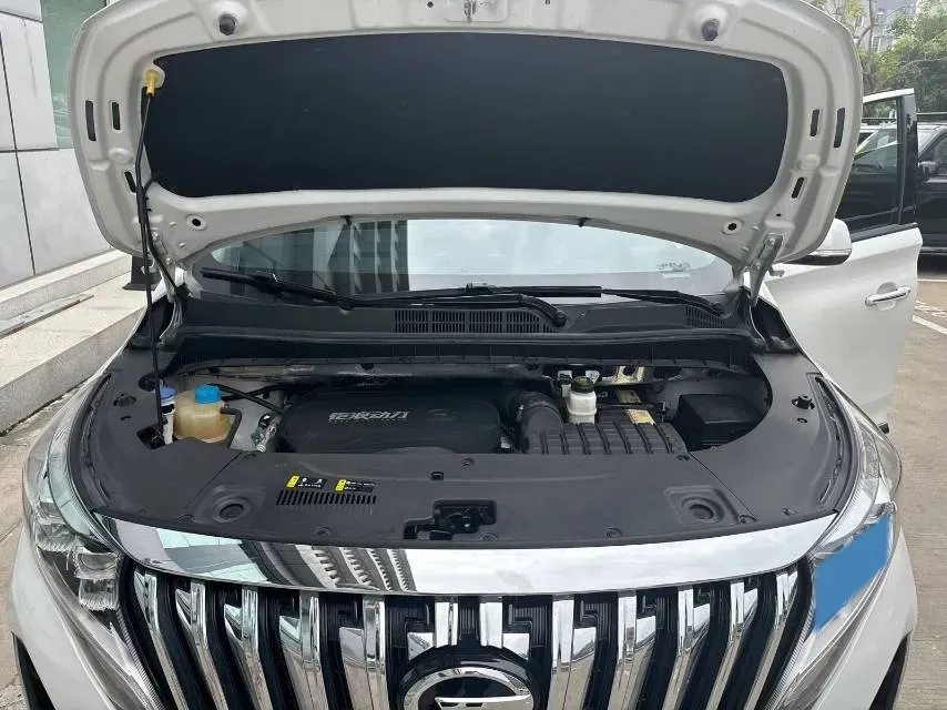 2023 GAC Trumpchi M8 2.0T 252HP L4 8AT,autocango,china used car exporter,china ev exporter,chinese used car exporter,chinese used ev exporter