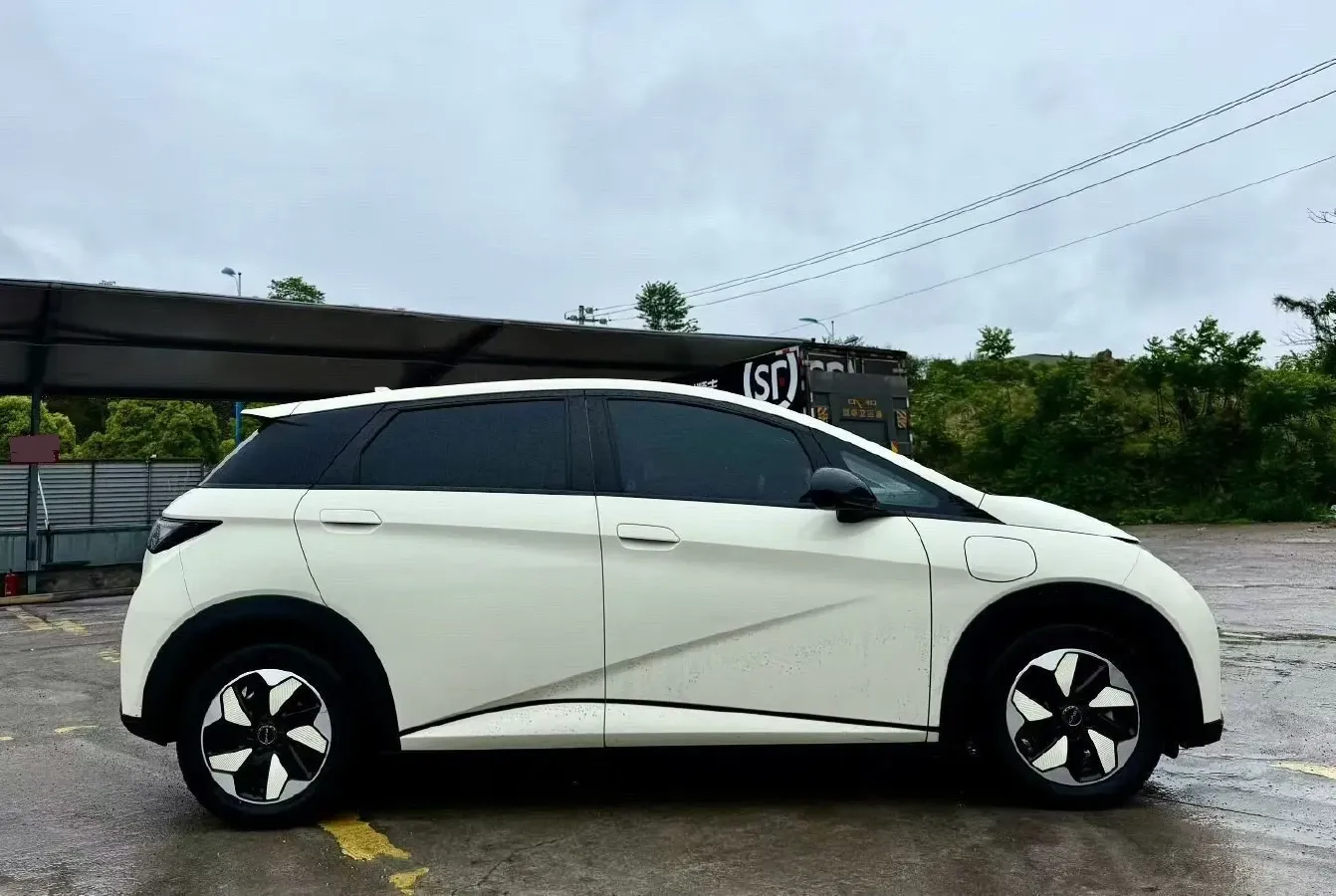 2024 BYD Dolphin BEV 44.928KWH,autocango,china used car exporter,china ev exporter,chinese used car exporter,chinese used ev exporter