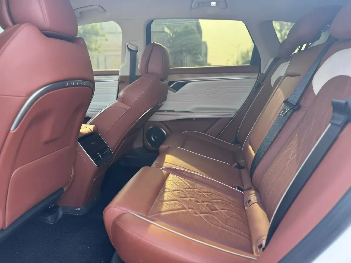 2024 Voyah FREE 1.5T 150HP L4 REEV 39.2KWH,autocango,china used car exporter,china ev exporter,chinese used car exporter,chinese used ev exporter