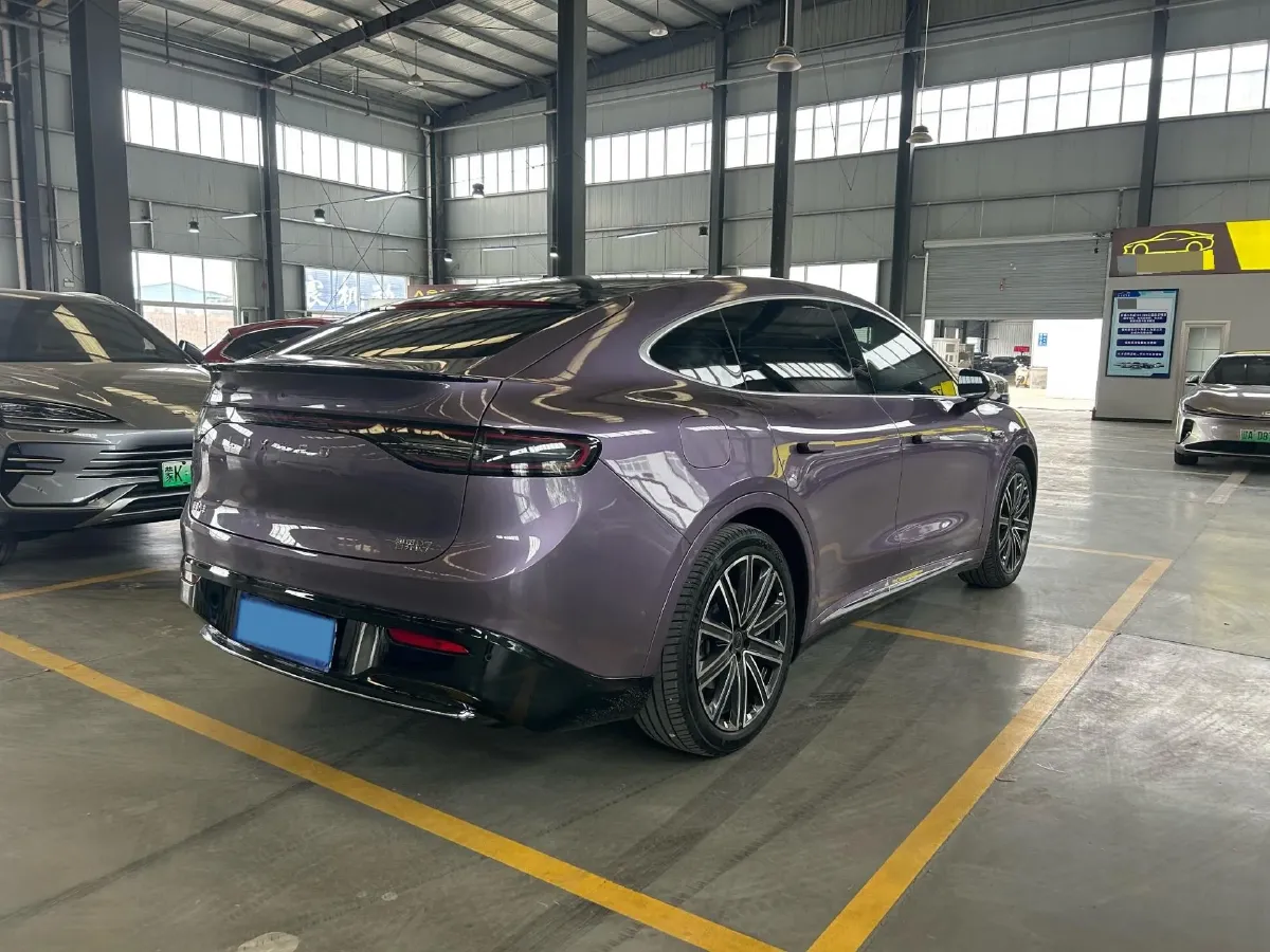 2025 HIMA Stelato S9T REEV 160HP REEV,autocango,china used car exporter,china ev exporter,chinese used car exporter,chinese used ev exporter