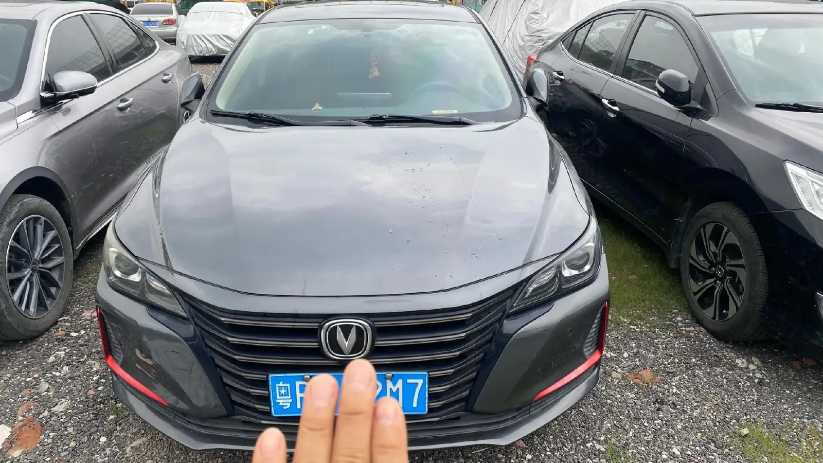 2021 ChangAn Raeton CC 1.5T 180HP L4 7DCT,autocango,china used car exporter,china ev exporter,chinese used car exporter,chinese used ev exporter