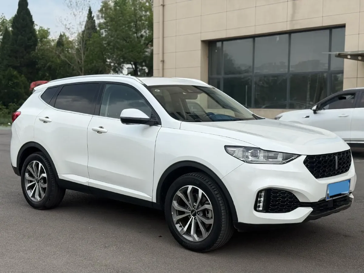 2019 WEY VV6 2.0T 224HP L4 7DCT,autocango,china used car exporter,china ev exporter,chinese used car exporter,chinese used ev exporter