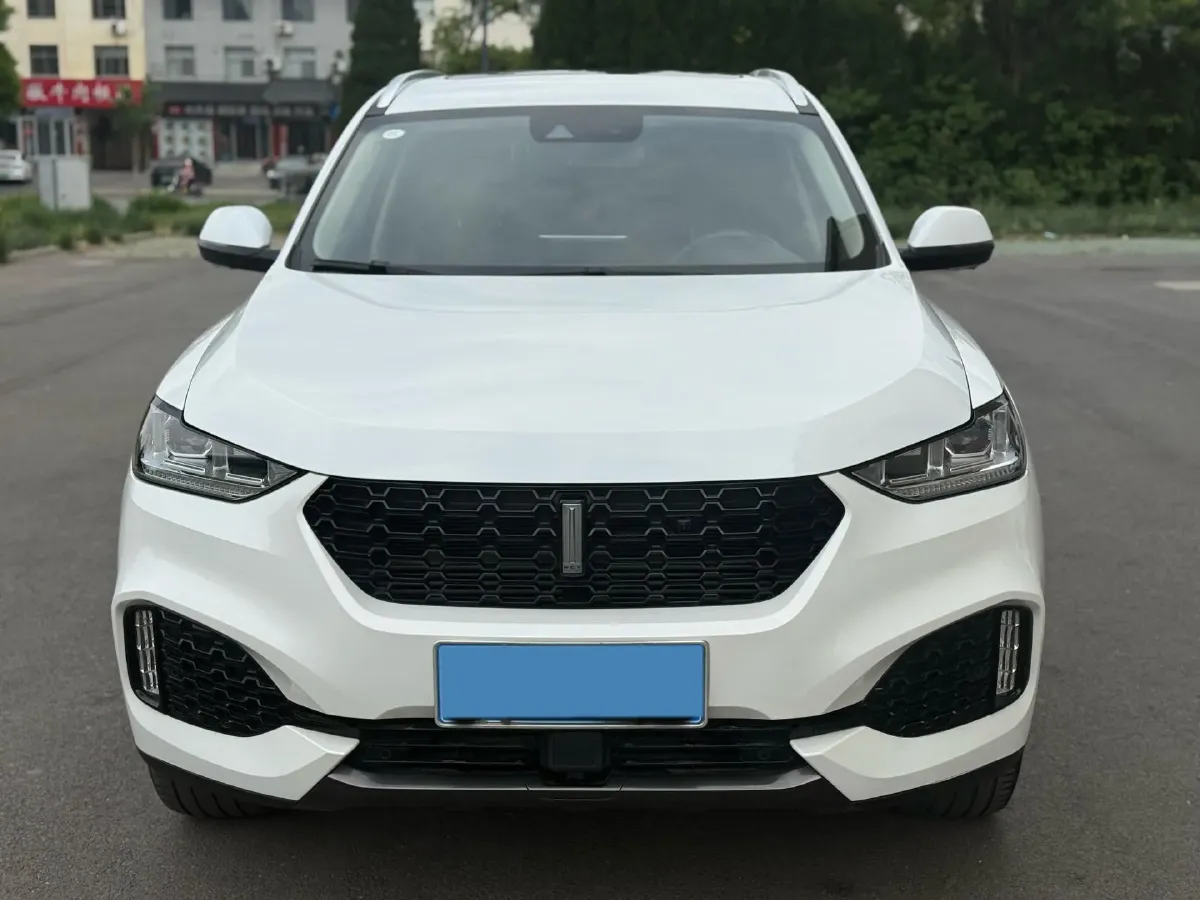 2019 WEY VV6 2.0T 224HP L4 7DCT,autocango,china used car exporter,china ev exporter,chinese used car exporter,chinese used ev exporter