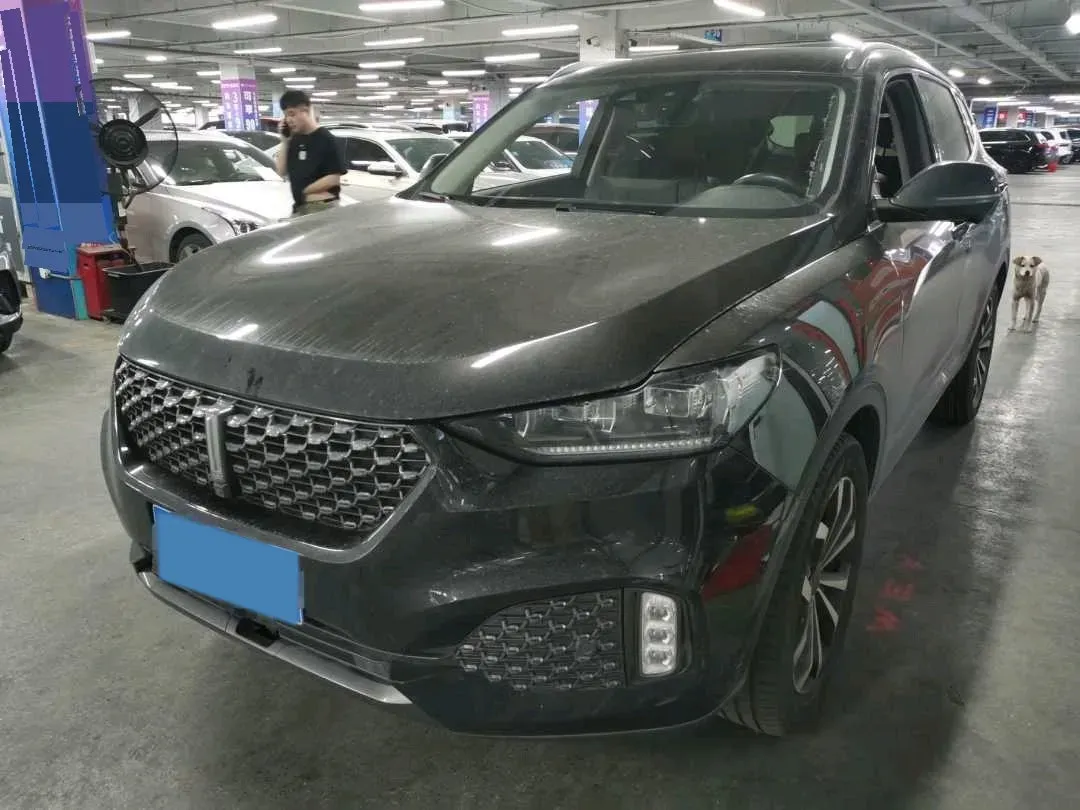 2021 WEY VV6 2.0T 227HP L4 7DCT,autocango,china used car exporter,china ev exporter,chinese used car exporter,chinese used ev exporter