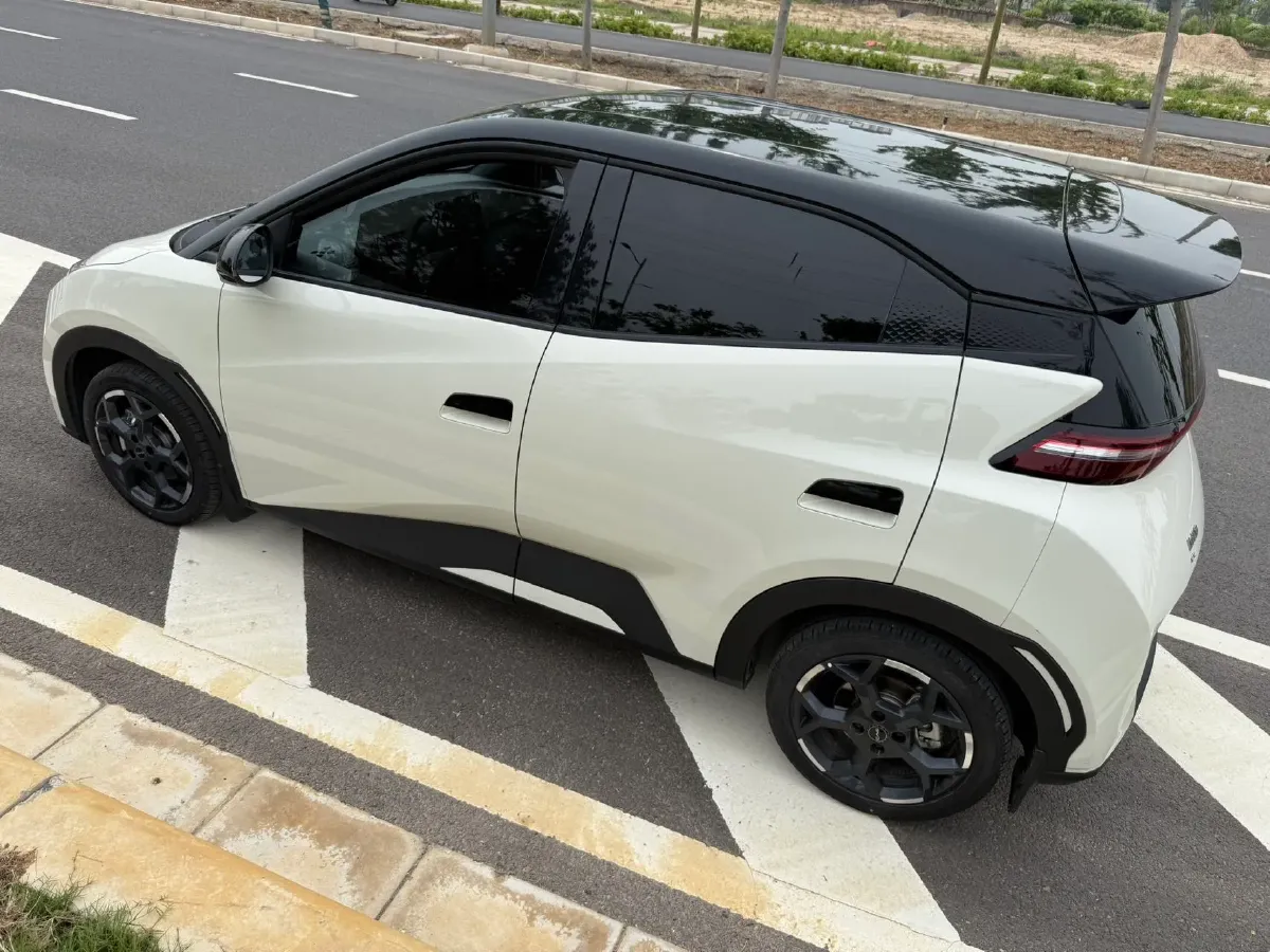 2025 BYD Seagull BEV 30.08KWH,autocango,china used car exporter,china ev exporter,chinese used car exporter,chinese used ev exporter