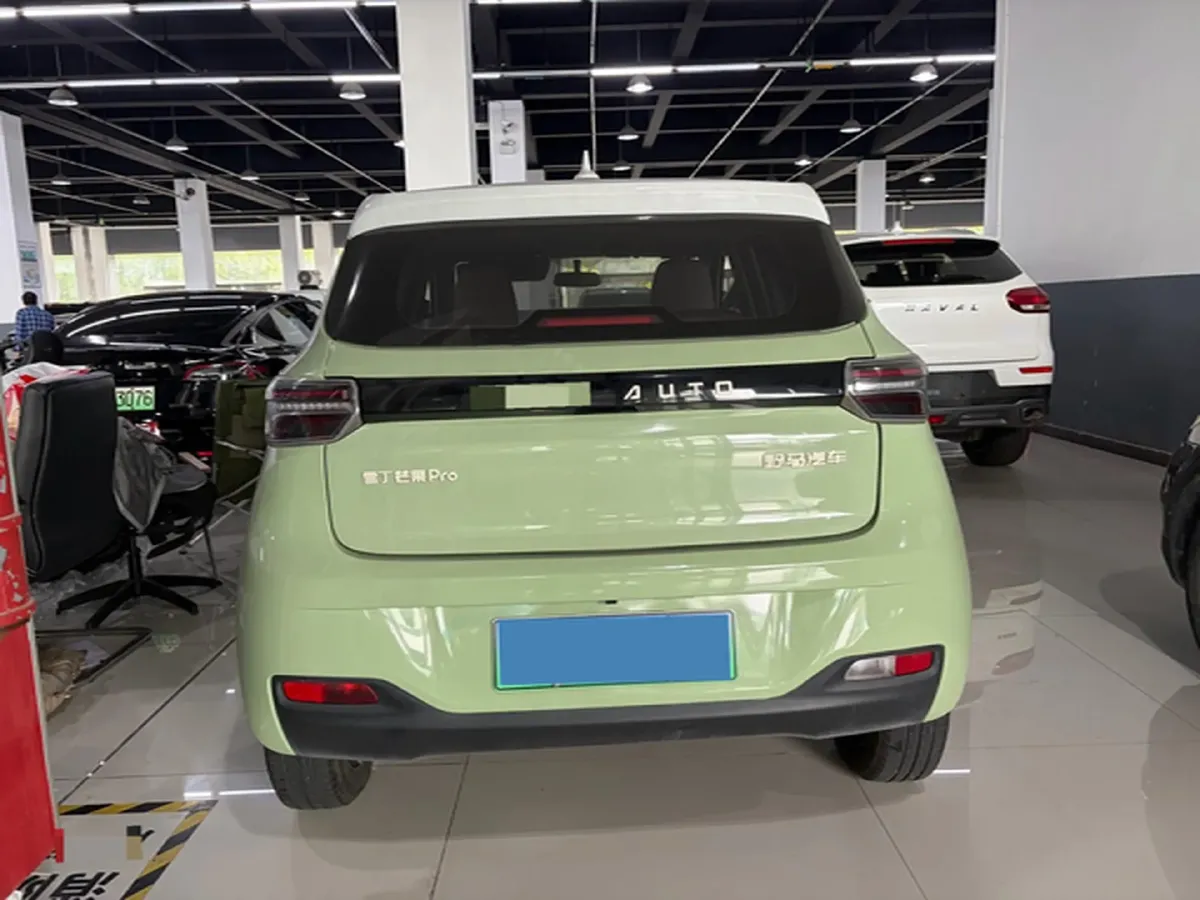 2022 Levdeo MangoPro BEV 17.28KWH,autocango,china used car exporter,china ev exporter,chinese used car exporter,chinese used ev exporter