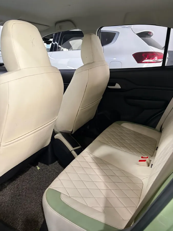2022 Levdeo MangoPro BEV 17.28KWH,autocango,china used car exporter,china ev exporter,chinese used car exporter,chinese used ev exporter