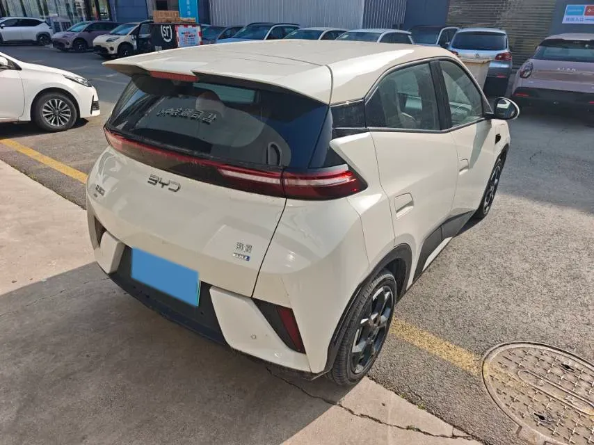 2025 BYD Seagull BEV 30.08KWH,autocango,china used car exporter,china ev exporter,chinese used car exporter,chinese used ev exporter