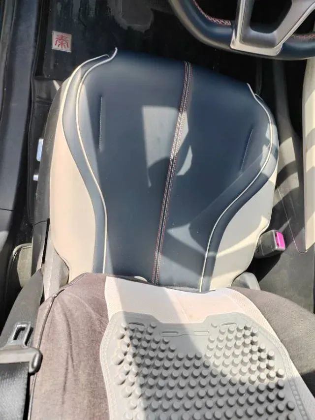 2021 DongFeng FuKang e Elysee BEV 30.7KWH,autocango,china used car exporter,china ev exporter,chinese used car exporter,chinese used ev exporter