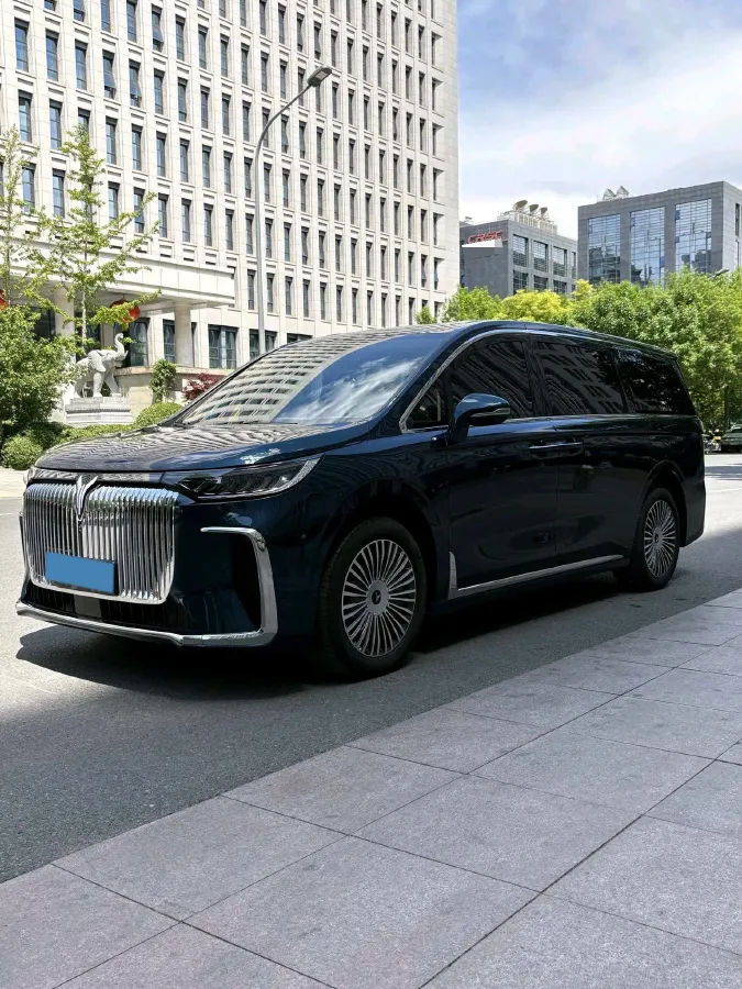 2025 Voyah Dream 1.5T 150HP L4 PHEV 41.7KWH,autocango,china used car exporter,china ev exporter,chinese used car exporter,chinese used ev exporter