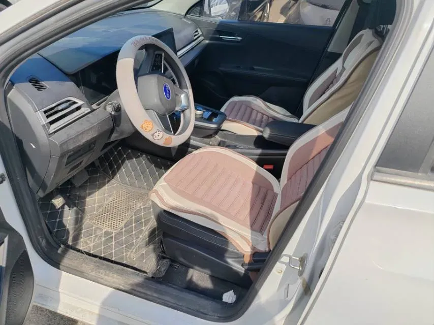 2019 BYD e2 BEV 35.2KWH,autocango,china used car exporter,china ev exporter,chinese used car exporter,chinese used ev exporter