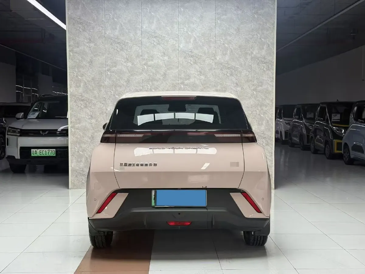 2024 BYD Seagull BEV 38.88KWH,autocango,china used car exporter,china ev exporter,chinese used car exporter,chinese used ev exporter