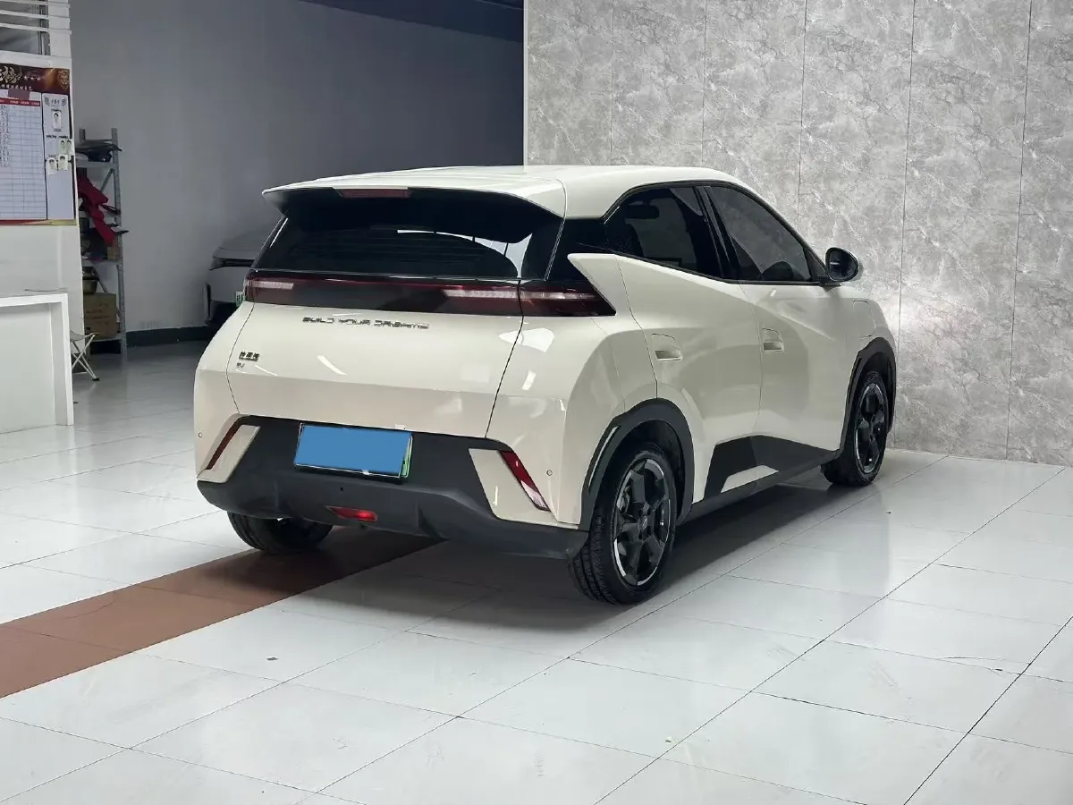 2023 BYD Seagull BEV 38.88KWH,autocango,china used car exporter,china ev exporter,chinese used car exporter,chinese used ev exporter