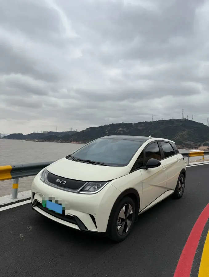 2023 BYD Dolphin BEV 44.928KWH,autocango,china used car exporter,china ev exporter,chinese used car exporter,chinese used ev exporter