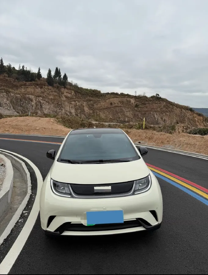 2023 BYD Dolphin BEV 44.928KWH,autocango,china used car exporter,china ev exporter,chinese used car exporter,chinese used ev exporter