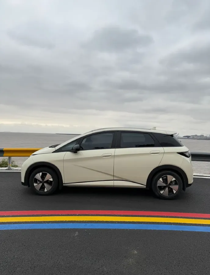 2023 BYD Dolphin BEV 44.928KWH,autocango,china used car exporter,china ev exporter,chinese used car exporter,chinese used ev exporter