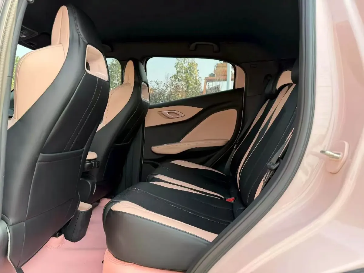 2025 BYD Seagull BEV 30.08KWH,autocango,china used car exporter,china ev exporter,chinese used car exporter,chinese used ev exporter