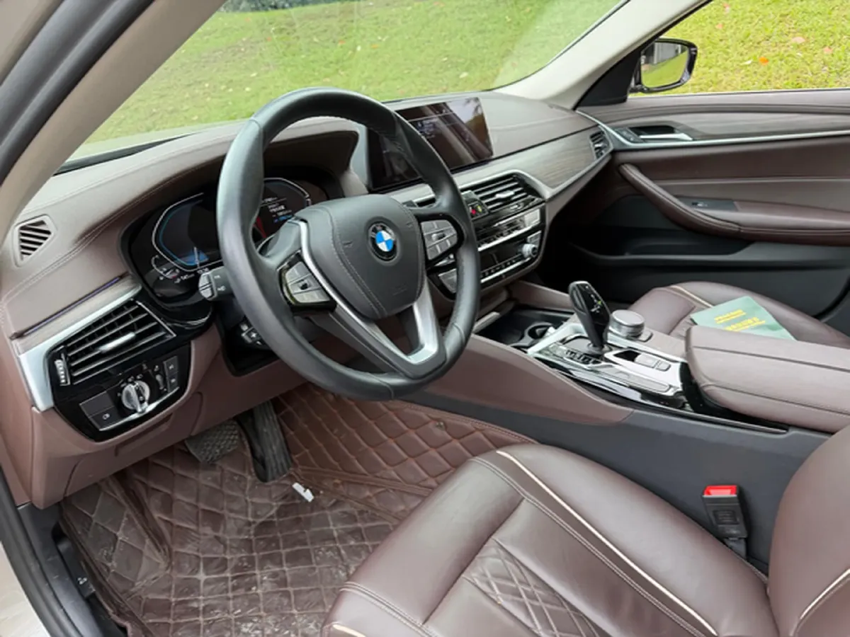 2020 BMW 5 Series 2.0T 184HP L4 8AT PHEV 17.7KWH,autocango,china used car exporter,china ev exporter,chinese used car exporter,chinese used ev exporter