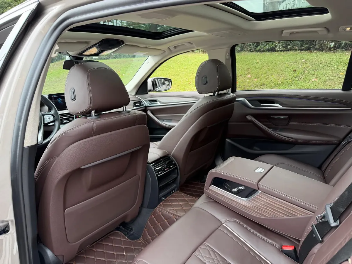 2020 BMW 5 Series 2.0T 184HP L4 8AT PHEV 17.7KWH,autocango,china used car exporter,china ev exporter,chinese used car exporter,chinese used ev exporter