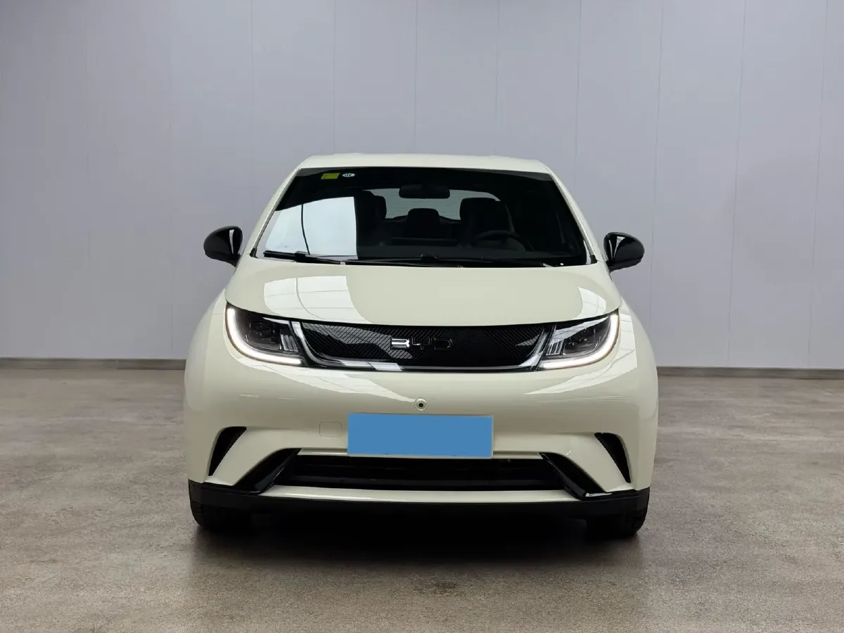 2025 BYD Dolphin BEV 44.928KWH,autocango,china used car exporter,china ev exporter,chinese used car exporter,chinese used ev exporter