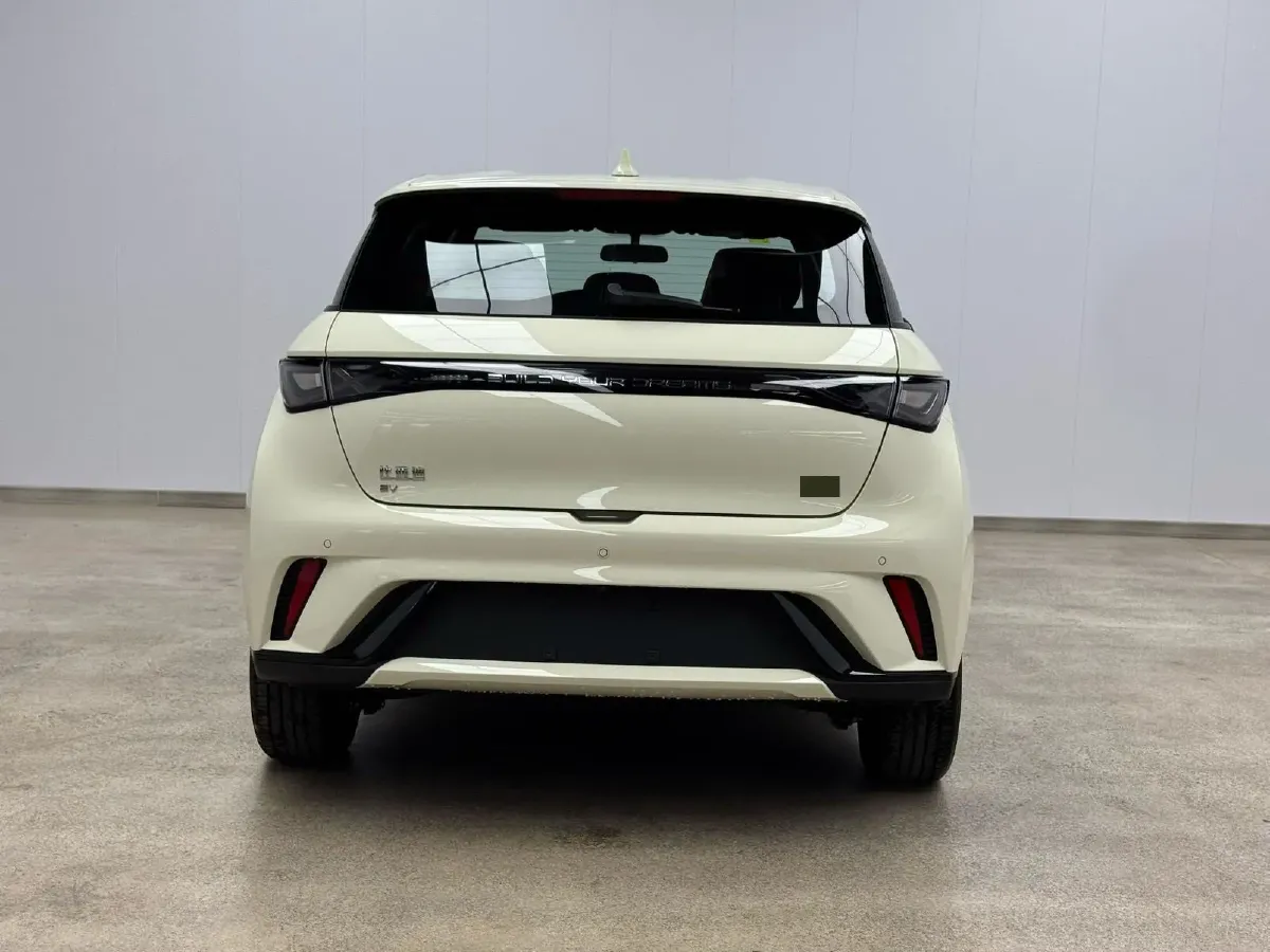 2025 BYD Dolphin BEV 44.928KWH,autocango,china used car exporter,china ev exporter,chinese used car exporter,chinese used ev exporter