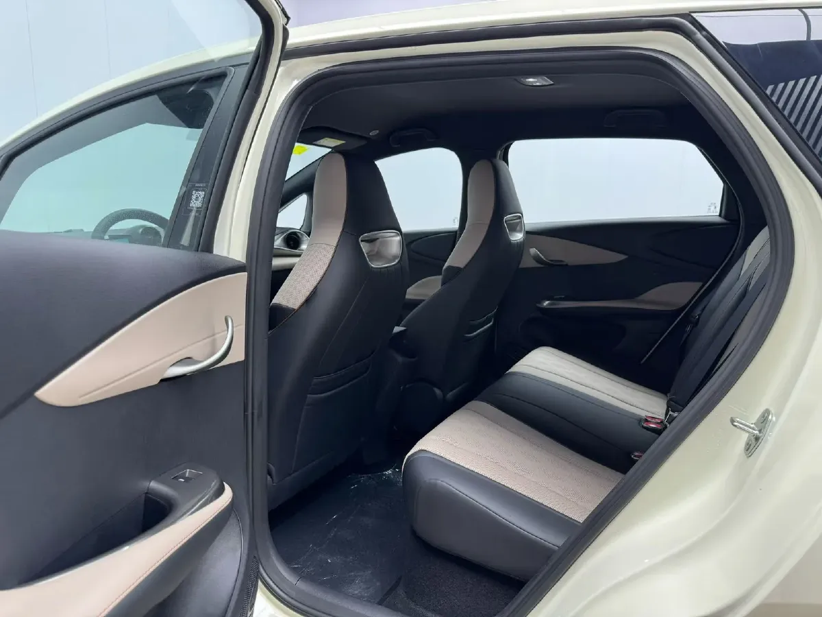 2025 BYD Dolphin BEV 44.928KWH,autocango,china used car exporter,china ev exporter,chinese used car exporter,chinese used ev exporter