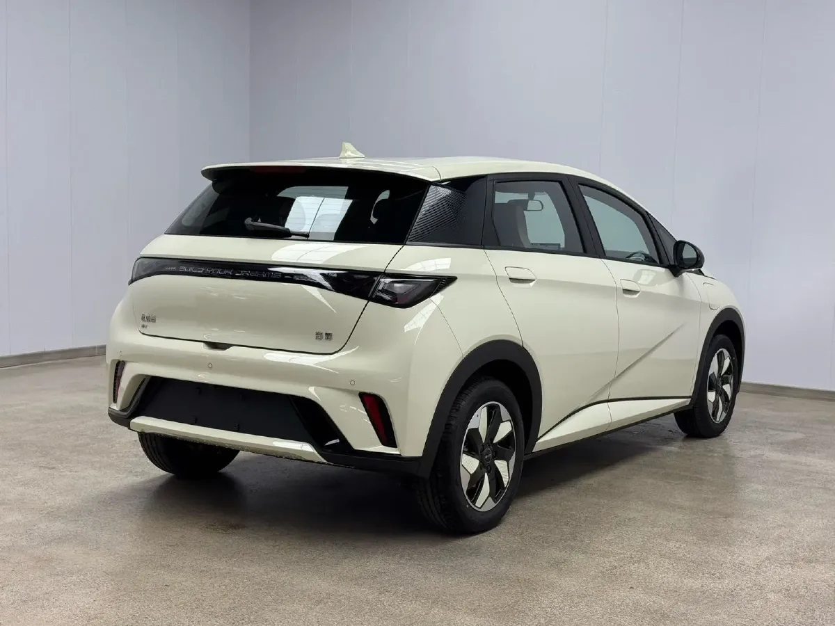 2025 BYD Dolphin BEV 44.928KWH,autocango,china used car exporter,china ev exporter,chinese used car exporter,chinese used ev exporter