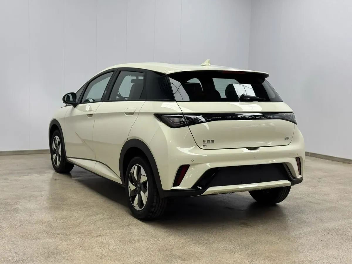 2025 BYD Dolphin BEV 44.928KWH,autocango,china used car exporter,china ev exporter,chinese used car exporter,chinese used ev exporter