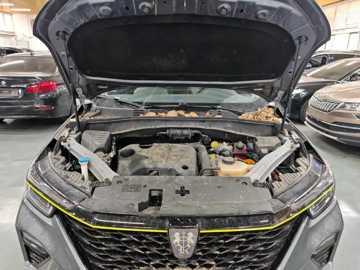 2020 Roewe RX5 1.5T 169HP L4 AMT PHEV 11.1KWH,autocango,china used car exporter,china ev exporter,chinese used car exporter,chinese used ev exporter