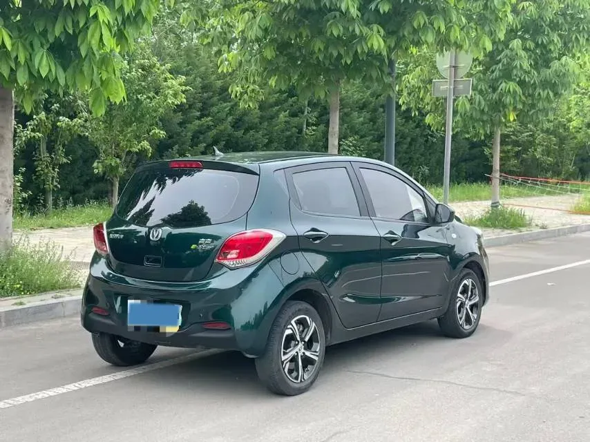 2021 ChangAn BenBen E-Star BEV 31.18KWH,autocango,china used car exporter,china ev exporter,chinese used car exporter,chinese used ev exporter
